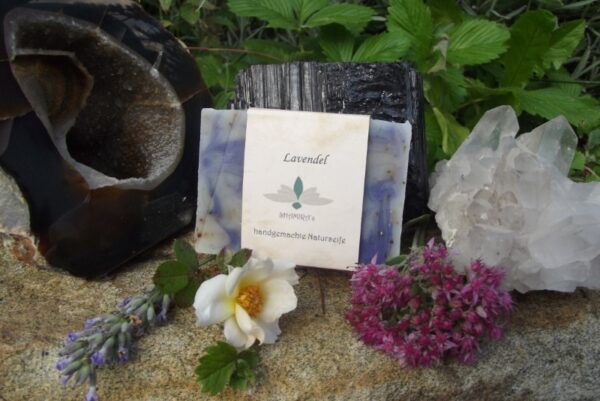 Lavendel_59da53441ff50