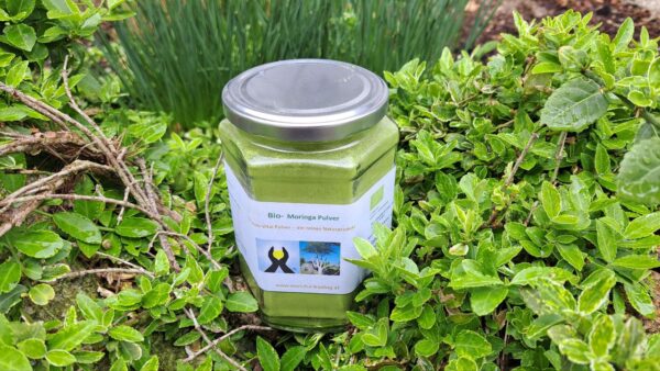 Moringa Foto