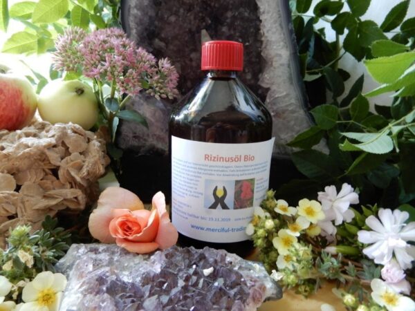 Rizinus__l_Bio_5_5b8033fb420a6