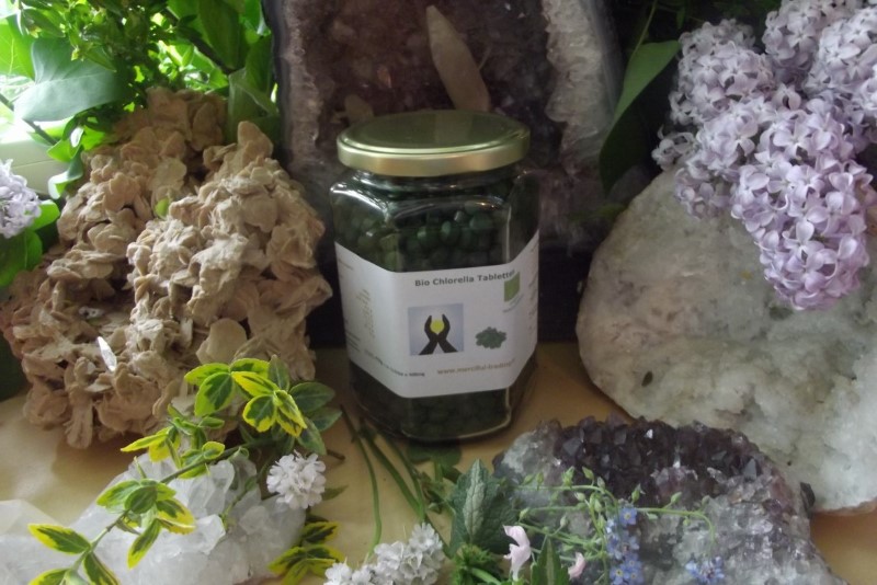 Bio_Chlorella_Ta_5af485c798041 Bio_Chlorella_Ta_5af485c798041