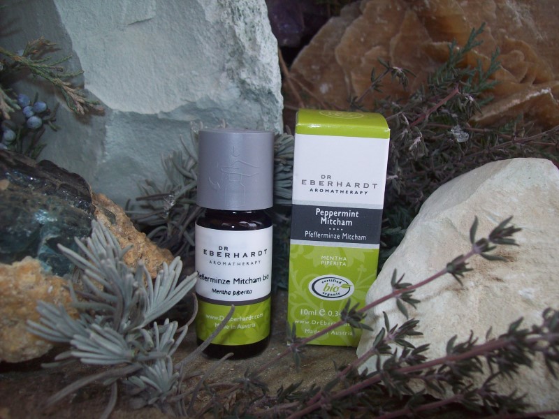 Pfefferminze_BIO_4f244969dd5a7 Pfefferminze_BIO_4f244969dd5a7