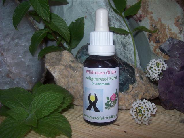 Wildrosen___l_Bi_509696ee96e76 Wildrosen___l_Bi_509696ee96e76