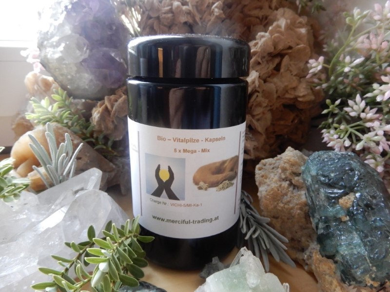 Bio_Vitalpilze_5_5df7436ba0ce0 Bio_Vitalpilze_5_5df7436ba0ce0