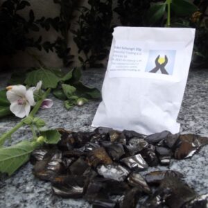 Edelschungit_20g_55d0b28206709