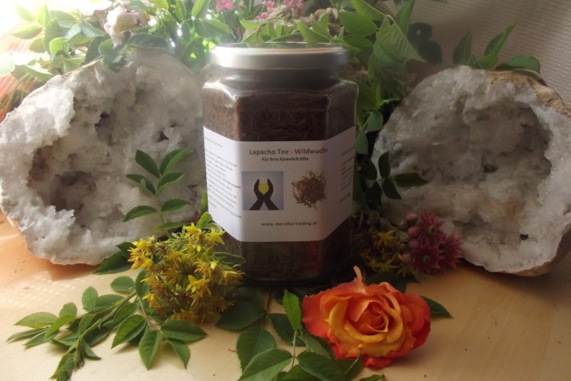 Lapacho_Tee_200g_59458b829f125 Lapacho_Tee_200g_59458b829f125