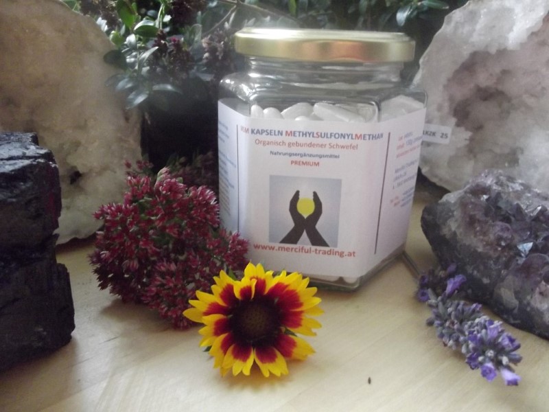 MSM___Methylsulf_57fa6a921258f MSM___Methylsulf_57fa6a921258f