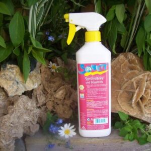 Sonett_Spr__hst__4e3ee9ee05faf