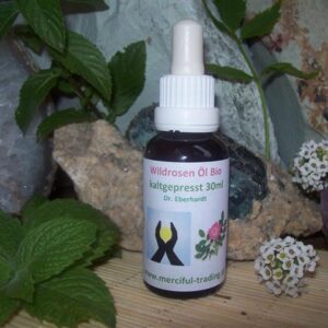 Wildrosen___l_Bi_509696ee96e76