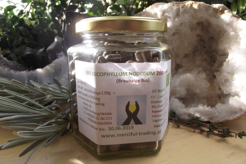 Ascophyllum_nodo_5a27d9796ee22 Ascophyllum_nodo_5a27d9796ee22