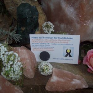 C:UsersUserDesktopNeuer Ordner (3)Platte_aus_Schun_4e3fde08369b7.jpg