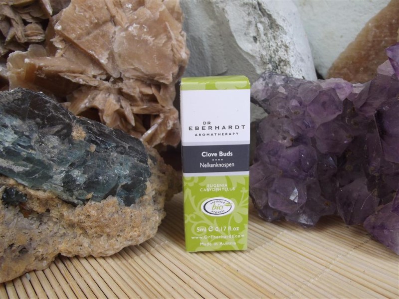 Nelkenknospen_BI_510d7bab04b8a Nelkenknospen_BI_510d7bab04b8a