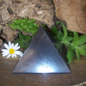 Schungit_____Pyr_4e3fd9fa64438