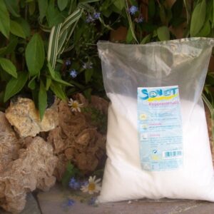 Sonett_Regenerie_4e6b5979ca324