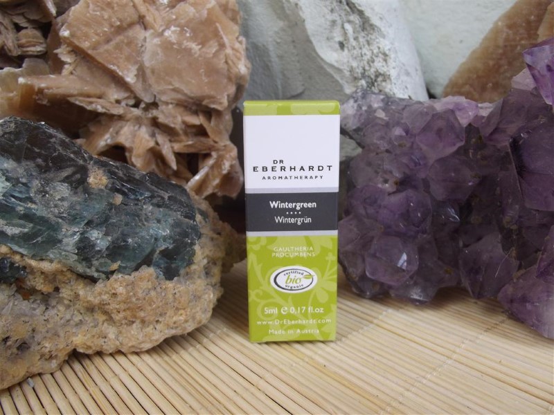 Wintergr__n_Bio__510d7ac1ad415 Wintergr__n_Bio__510d7ac1ad415