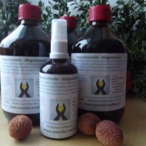 3xMagnesium__l___569bdbac48331