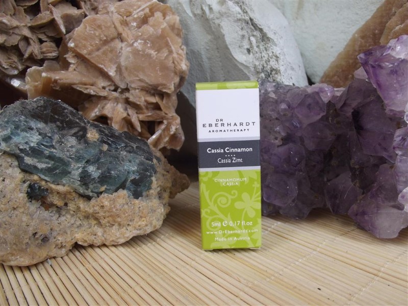 Cassia_Zimt_5ml_510d7c1853ce9 Cassia_Zimt_5ml_510d7c1853ce9