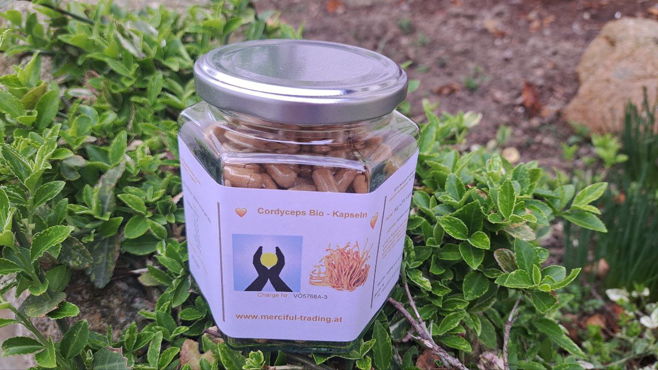 Cordyceps Cordyceps