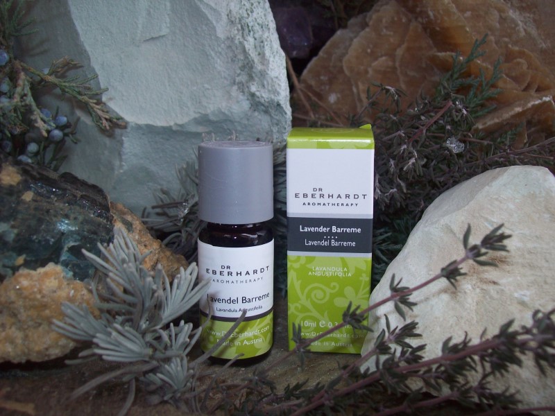 Lavendel_Barreme_4f24459451dc9 Lavendel_Barreme_4f24459451dc9