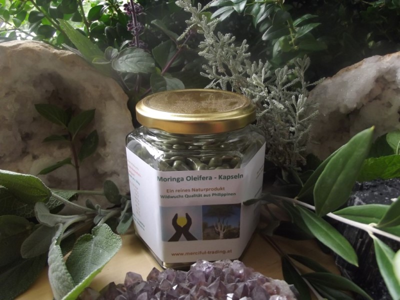Moringa_Kapseln__57fa537dd55a2 Moringa_Kapseln__57fa537dd55a2