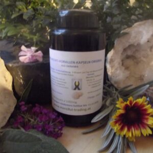 Sango_Meereskora_580f8de0ecd4a