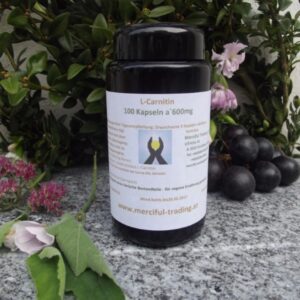 L-Carnitin 100 Kapseln a`600mg im Violettglas