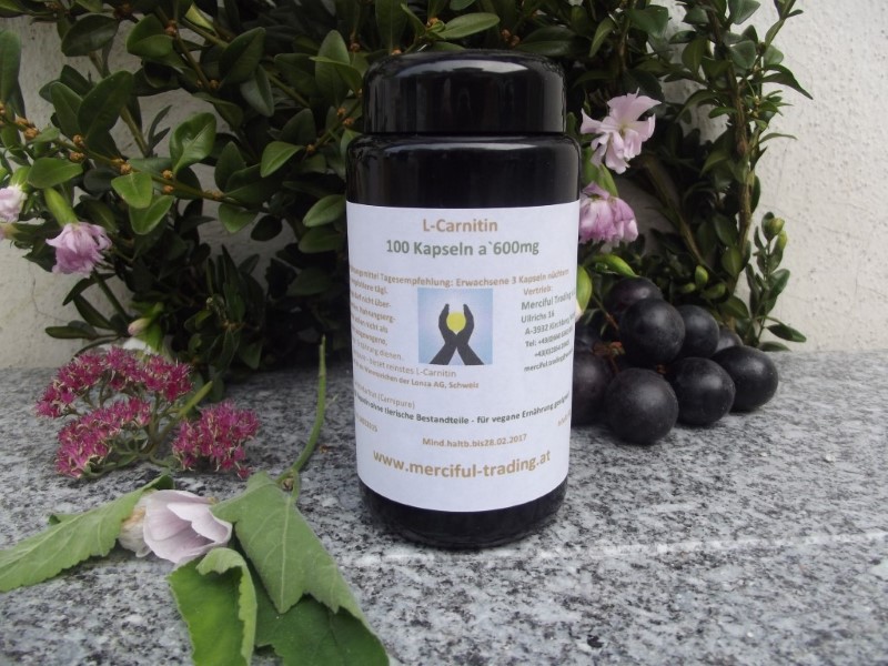 L-Carnitin 100 Kapseln a`600mg im Violettglas