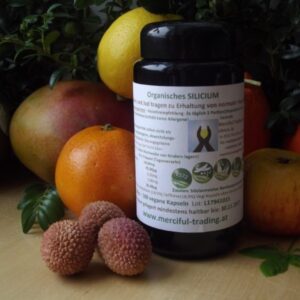 Organisches SILICIUM a`528mg 100 Kapseln im Mironglas