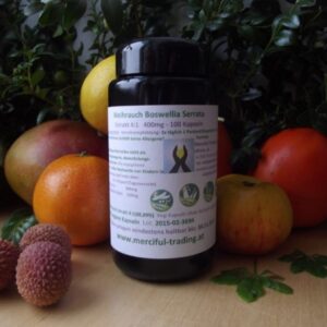 Weihrauch Boswellia Serrata 100 Kapseln a`400mg im Mironglas
