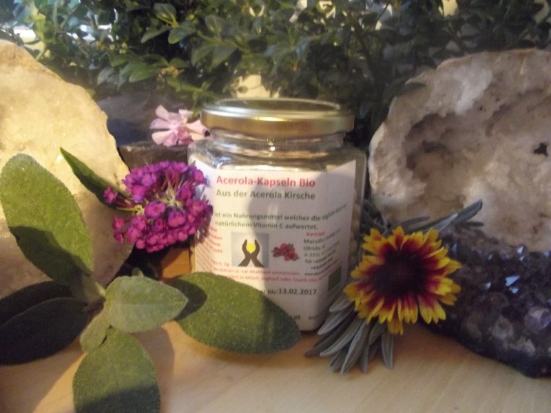 Acerola Kapseln Bio 200 Kapseln