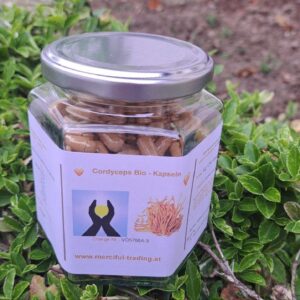 Cordyceps