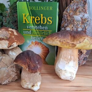 Krebs verstehen NEU