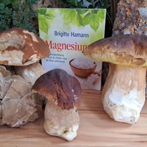 Magnesium NEU