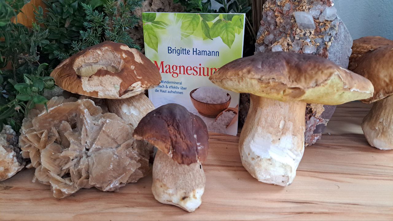 Magnesium NEU Magnesium NEU