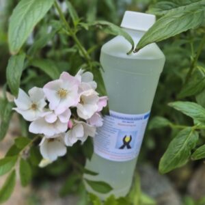 Natriumchlorit 25% 500ml (Mittel)