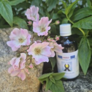 DMSO Ph.Eur. 100ml (Mittel)