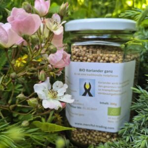 Koriander bio ganz 200g (Mittel)