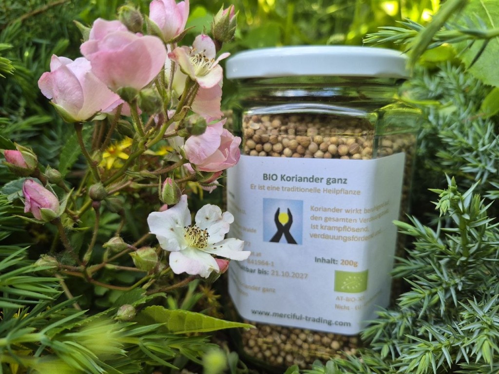 Koriander bio ganz 200g (Mittel)