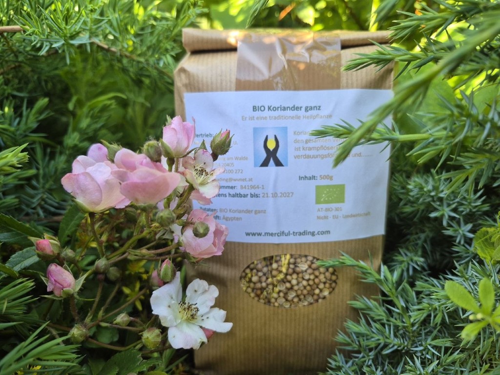 Koriander bio ganz 500g (Mittel)