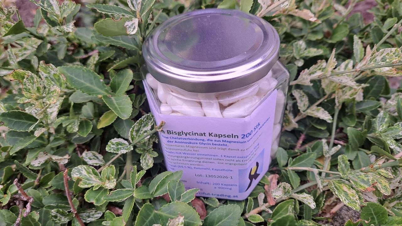 Magnesium Bisglycinat Kapseln 200Stk (Mittel)